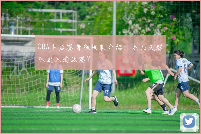 CBA季后赛晋级机制介绍:共几支球队进入淘汰赛?