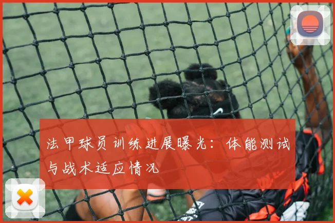 法甲球员训练进展曝光：体能测试与战术适应情况